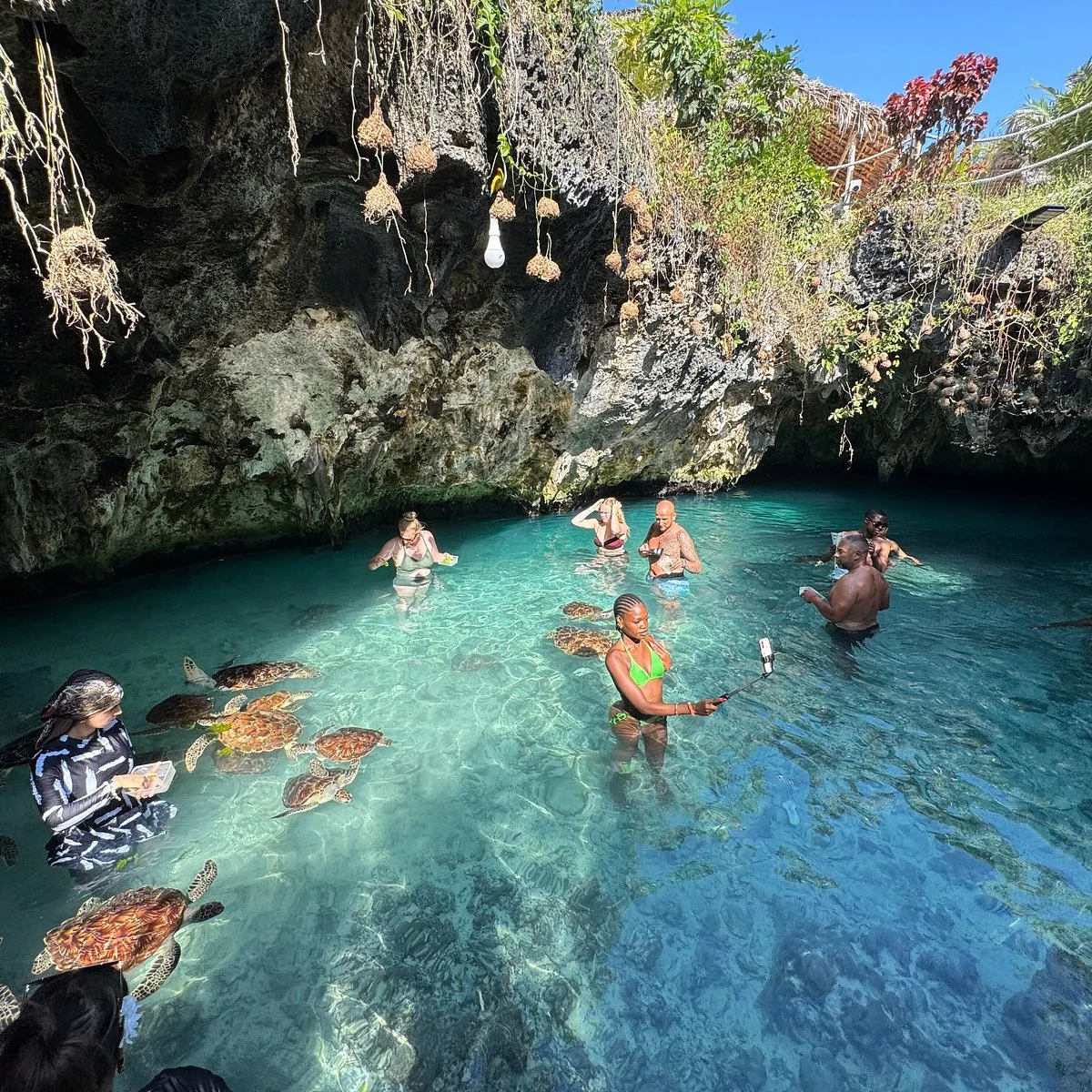 Salaam Cave Aquarium